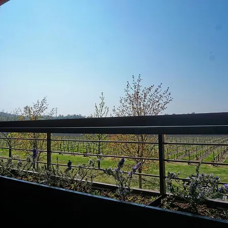Alojamento de Turismo Rural Agri-resort Corte Patrizia - Wellness *