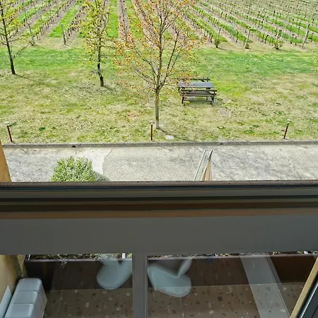 Agri-resort Corte Patrizia - Wellness Affi