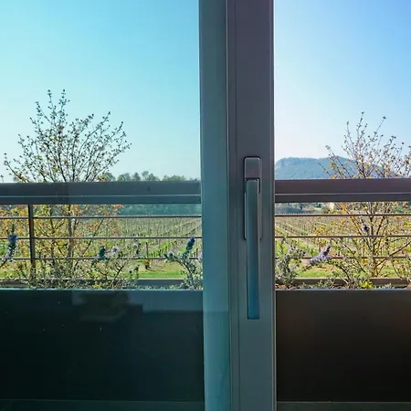 Agri-resort Corte Patrizia - Wellness *