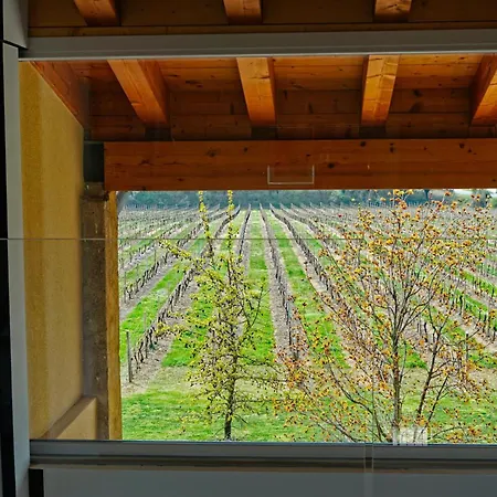 Alojamento de Turismo Rural Agri-resort Corte Patrizia - Wellness Affi